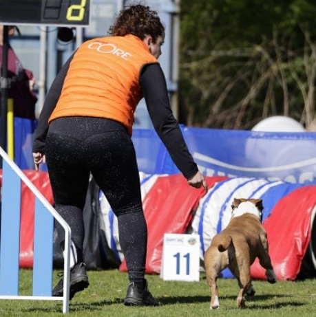 Kona tijdens een agilityparcours